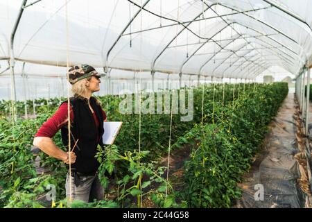 Bauernfrau Frau, die das Wachstum von Bio-Tomaten in einem Gewächshaus kontrolliert Stockfoto