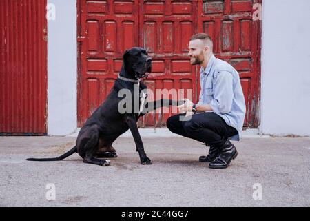 Junger Mann, der seinen Hund im Freien unterrichtet Stockfoto