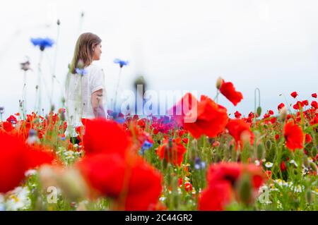 Frau, die zwischen roten Mohnblumen auf dem Feld gegen den Himmel geht Stockfoto
