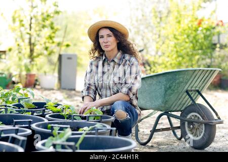 Porträt einer selbstbewussten reifen Frau, die von Pflanzen gegen Schubkarre im Garten hocken Stockfoto