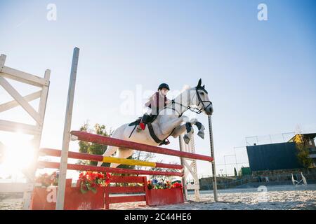 Low-Winkel-Ansicht der Teenager Jockey Mädchen Reiten weißes Pferd über Hürde auf Trainingsgelände gegen klaren Himmel Stockfoto