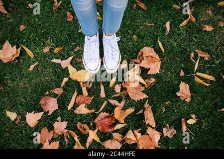 Niedriger Abschnitt des Teenagers, der an getrockneten Herbstblättern auf Gras im Park steht Stockfoto