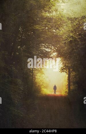 Deutschland, Nordrhein-Westfalen, Wuppertal, Silhouette des Menschen, der mitten auf dem Waldweg steht Stockfoto