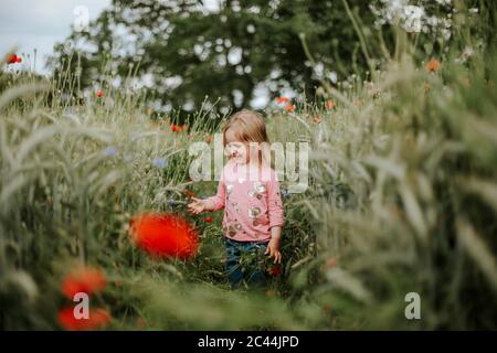 Happy kleines Mädchen im Mohn Feld stehen Stockfoto