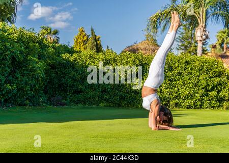 Frau, die Yoga auf Rasen bei Sonnenschein praktiziert, dabei einen Unterarmständer Stockfoto