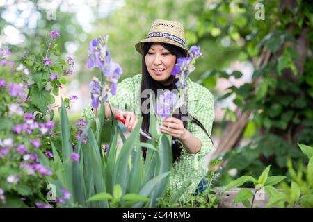 Frau Ernte im städtischen Garten Stockfoto