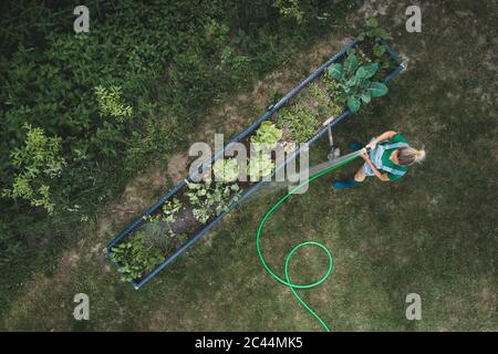 Luftaufnahme der Frau, die Gemüse wässern, die im erhöhten Bett am Hof wächst Stockfoto
