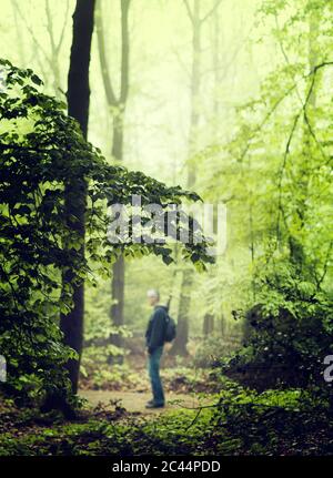 Deutschland, Nordrhein-Westfalen, Wuppertal, Mann im grünen Frühlingswald Stockfoto
