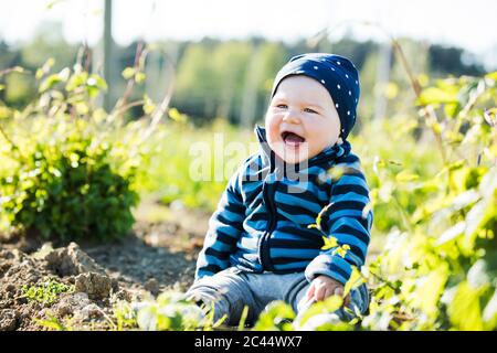 Fröhlicher Junge, der an sonnigen Tagen auf dem Hopfenfeld sitzt Stockfoto