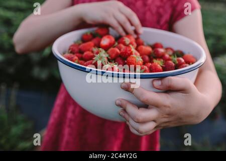 Mittelteil der Mädchen, dass Erdbeeren in Schüssel am Hof Stockfoto