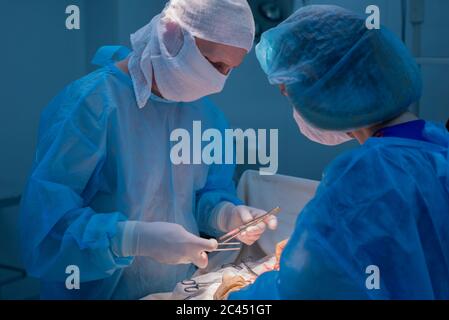 Kinderchirurgen führen urologische Operationen durch. Ein Mann und eine Frau in einer Maske und einem blauen sterilen Gewand im Operationssaal. Stockfoto