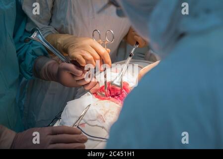 Ein Chirurg mit Assistenten, in einem sterilen Operationssaal, wird an inneren Organen operiert. Stockfoto