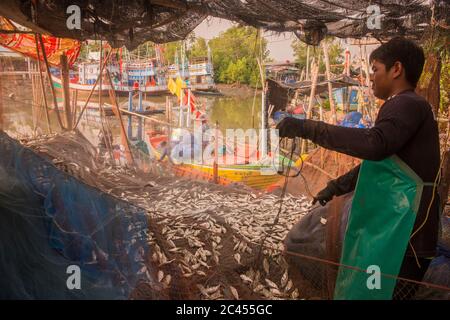 Eine Fischerfamilie am Fischerhafen am Golf von Thailand im Ban Laem Bezirk in der Nähe der Stadt Phetchaburi oder Phetburi in der Provinz Stockfoto