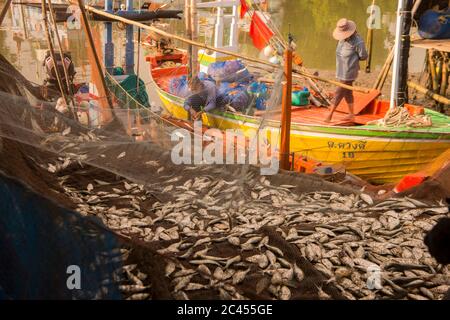 Eine Fischerfamilie am Fischerhafen am Golf von Thailand im Ban Laem Bezirk in der Nähe der Stadt Phetchaburi oder Phetburi in der Provinz Stockfoto