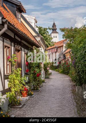 Rosen auf dem alten Gasse Fisherman's Alley (Fiskargrand). Visby, Gotland, Schweden, Skandinavien. Stockfoto