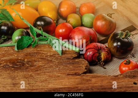 Die Ernte der Mischung Tomaten. Verschiedene bunte Tomaten auf Holzhintergrund. Mischen Tomaten Hintergrund. Stockfoto