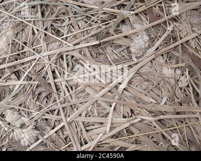 Nahaufnahme des Heus gedrückt. Natürliche Textur Ballen Heu für Rinder. Landwirtschaftliche Futtermittel Billet. Stockfoto