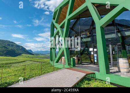 Tramin-Tramin, Überetsch, Südtirol, Italien Stockfoto