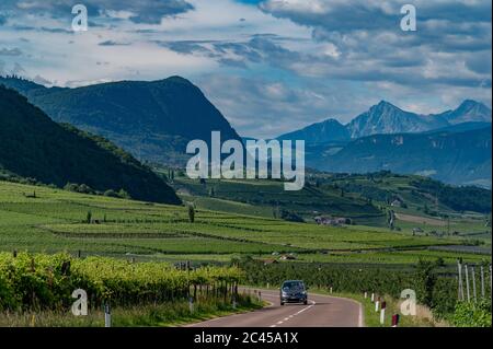 Tramin-Tramin, Überetsch, Südtirol, Italien Stockfoto