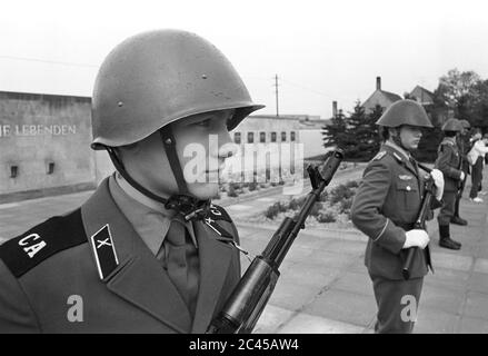 08. Mai 1985, Sachsen, Eilenburg: Sowjetischer Soldat und NVA-Soldat. 'Die Toten ermahnen die Lebenden.' Die SED Kreisleitung und die FDJ Kreisleitung ehren die Toten am 8. Mai, dem Tag der Befreiung, mit Kränzen im Stadtteil Eilenburg in der Gedenkstätte für die Opfer des Faschismus. Genaues Aufnahmedatum nicht bekannt. Foto: Volkmar Heinz/dpa-Zentralbild/ZB Stockfoto