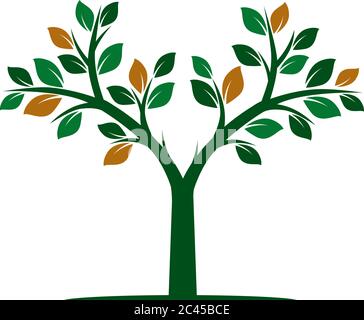 Farbe Baum des Lebens mit Wurzeln. Vektorgrafik. Isoliertes Objekt. Stock Vektor