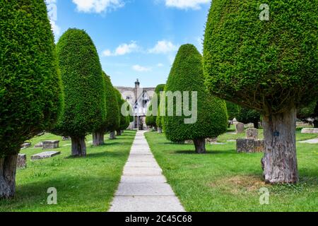 St Marys Kirche lychgate und Eibenbäume im Sonnenlicht. Painswick, Cotswolds, Gloucestershire, England Stockfoto