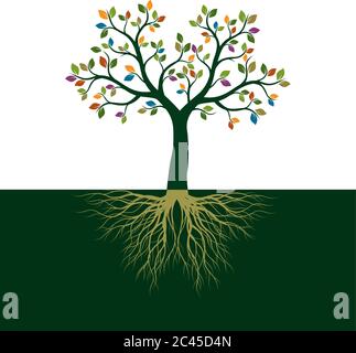 Farbe Baum des Lebens mit Wurzeln. Vektorgrafik. Isoliertes Objekt. Stock Vektor