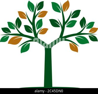 Farbe Baum des Lebens mit Wurzeln. Vektorgrafik. Isoliertes Objekt. Stock Vektor