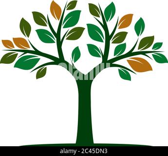 Farbe Baum des Lebens mit Wurzeln. Vektorgrafik. Isoliertes Objekt. Stock Vektor