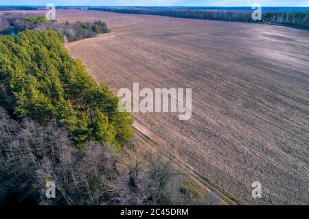 Ländliche Landschaft. Luftaufnahme Himmel Blick auf die Landschaft. Blick auf gepflügte und grüne Felder und Pinienwald im Frühjahr Stockfoto