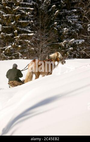 Der Mensch fährt durch den schneebedeckten Winterwald Stockfoto