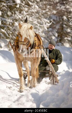 Der Mensch fährt durch den schneebedeckten Winterwald Stockfoto