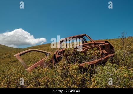 Ein rostend und ausgebranntes, verlassene Nutzfahrzeug wird langsam von der wilden Macchia in den Bergen Korsikas verbraucht Stockfoto