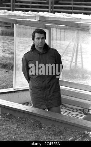 01. Januar 1979, Sachsen, Leipzig: Lok-Bank: Cherry - DDR-Oberliga-Topspiel 1. FC Lok Leipzig - FC Carl Zeiss Jena 2:1 (Oberliga 1979/1980, 13. Spieltag) im Bruno-Plache-Stadion. Genaues Aufnahmedatum nicht bekannt. Foto: Volkmar Heinz/dpa-Zentralbild/ZB Stockfoto