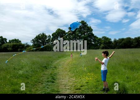 Kleiner Junge auf einer Wiese stehend, fliegender blauer Drachen. Stockfoto