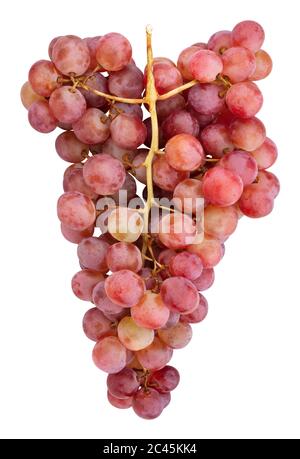 Pink grape Pfad isoliert auf weißem Stockfoto
