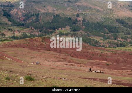 Dorf Potolo, Departamento Chuquisaca, Municipio Sucre, Bolivien, Lateinamerika Stockfoto