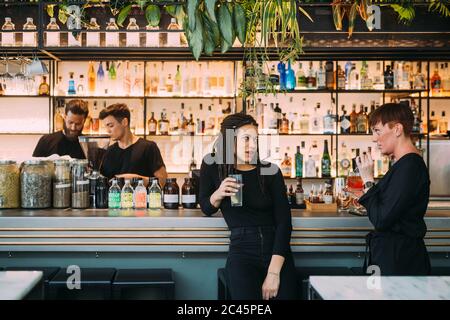 Porträt von zwei jungen Frauen, die an einer Theke sitzen, und zwei jungen Männern, die hinter der Bar arbeiten. Stockfoto