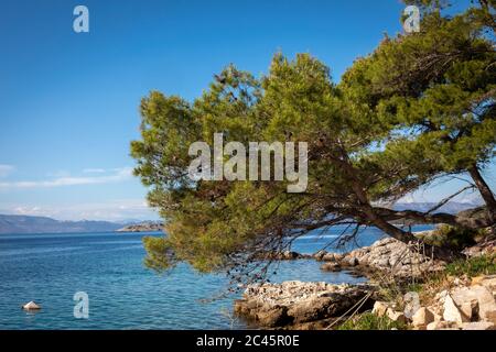 Küste Nationalpark Mljet Inseln, Kroatien Stockfoto