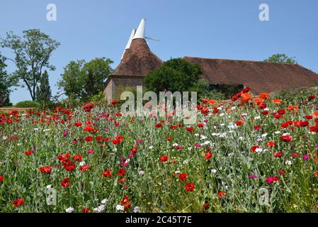 The Oast House at Great Dixter House & Gardens, Northiam, East Sussex, England, Großbritannien Stockfoto