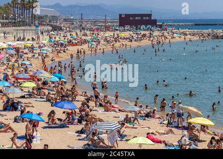 Barcelona, Spanien. Juni 2020. Menge am Strand Nova Icaria im Zentrum von Barcelona. Nach mehr als 3 Monaten Absperrung in Spanien gehen in der sogenannten 'Nuw Normalität' massiv Leute an den Strand. Pflichtnachweis: Dino Geromella Kredit: Dino Geromella/Alamy Live News Stockfoto