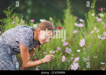 Junge Tween Mädchen riecht eine Blume in einer wilden Blumenwiese Stockfoto