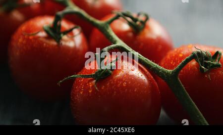 Rote Kirschtomaten auf Zweig Reif Stockfoto