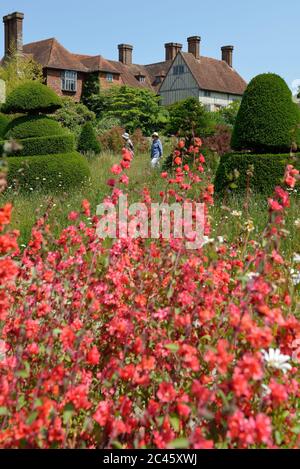 The Topiary Lawn at Great Dixter House & Gardens, Northiam, East Sussex, England, Großbritannien Stockfoto