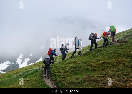 Gruppe von männlichen Wanderern mit Rucksäcken mit Trekkingstöcken beim Klettern grasbewachsenen Hügel. Menschen, die in Bergen mit nebligen Klippen auf dem Hintergrund bergauf gehen. Konzept von Wandern, Reisen und Rucksackreisen. Stockfoto
