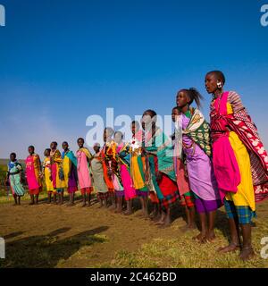 Maasai-Stammesfrauen in traditioneller maasai-Kleidung, Nakuru County, Nakuru, Kenia Stockfoto