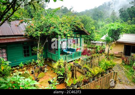 Ländliches Bergdorf mit typisch indonesischem Grünhaus und kleinem Garten auf dem Berg Salak, West Java, Indonesien Stockfoto