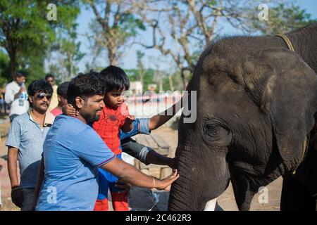 COORG, KARNATAKA, INDIEN - 23. März 2019: Menschen füttern Elefanten in Dubare Elefantenschutzlager in Coorg Stockfoto