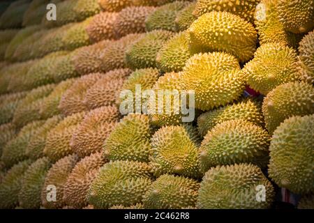 Nahaufnahme einer Menge frischer Durian Früchte in Der Markt Stockfoto