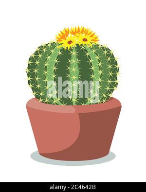 Große Kaktuskugel in einem roten Keramiktopf, dekorative Wüstenpflanze genannt Notocactus oder Eiocactus. Vektor-Illustration isoliert auf weiß Stock Vektor